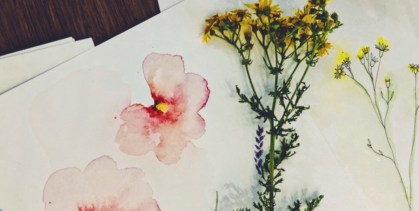 Botanical Drawing and Painting Workshop – Wellbeing Week 2020 Botanical Drawing and Painting Workshop – Wellbeing Week 2020
