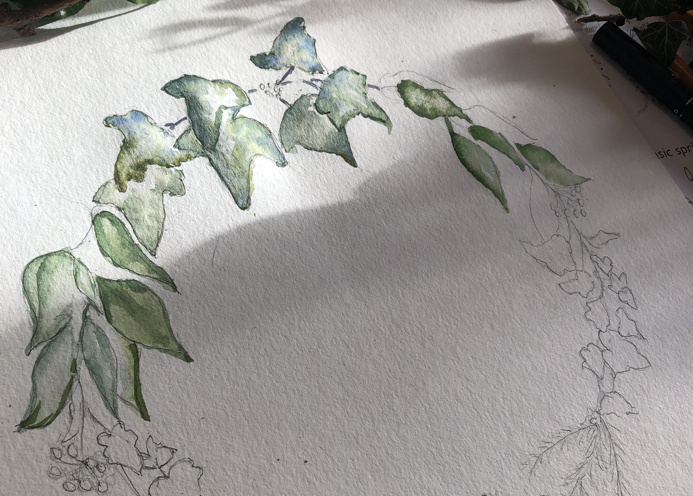 Festive Botanical Watercolour Workshop Festive Botanical Watercolour Workshop