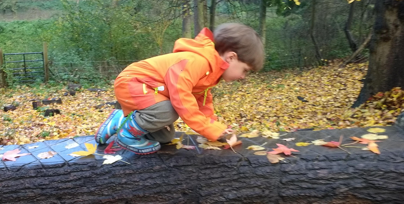 Autumn Specials: Parent & Child Forest School Autumn Specials: Parent & Child Forest School
