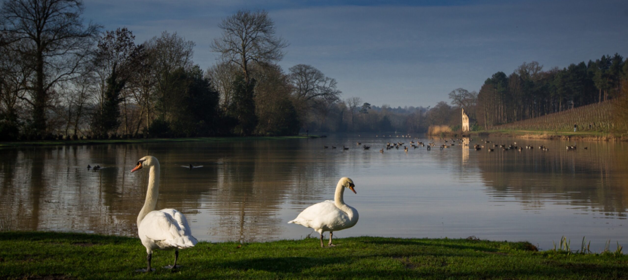 Painshill