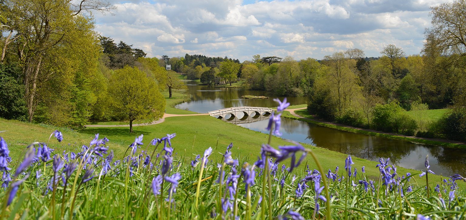 Bluebells with view spring