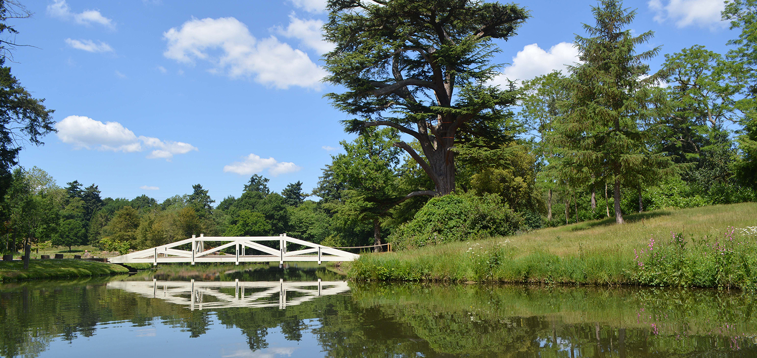 Bridge reflection in summer