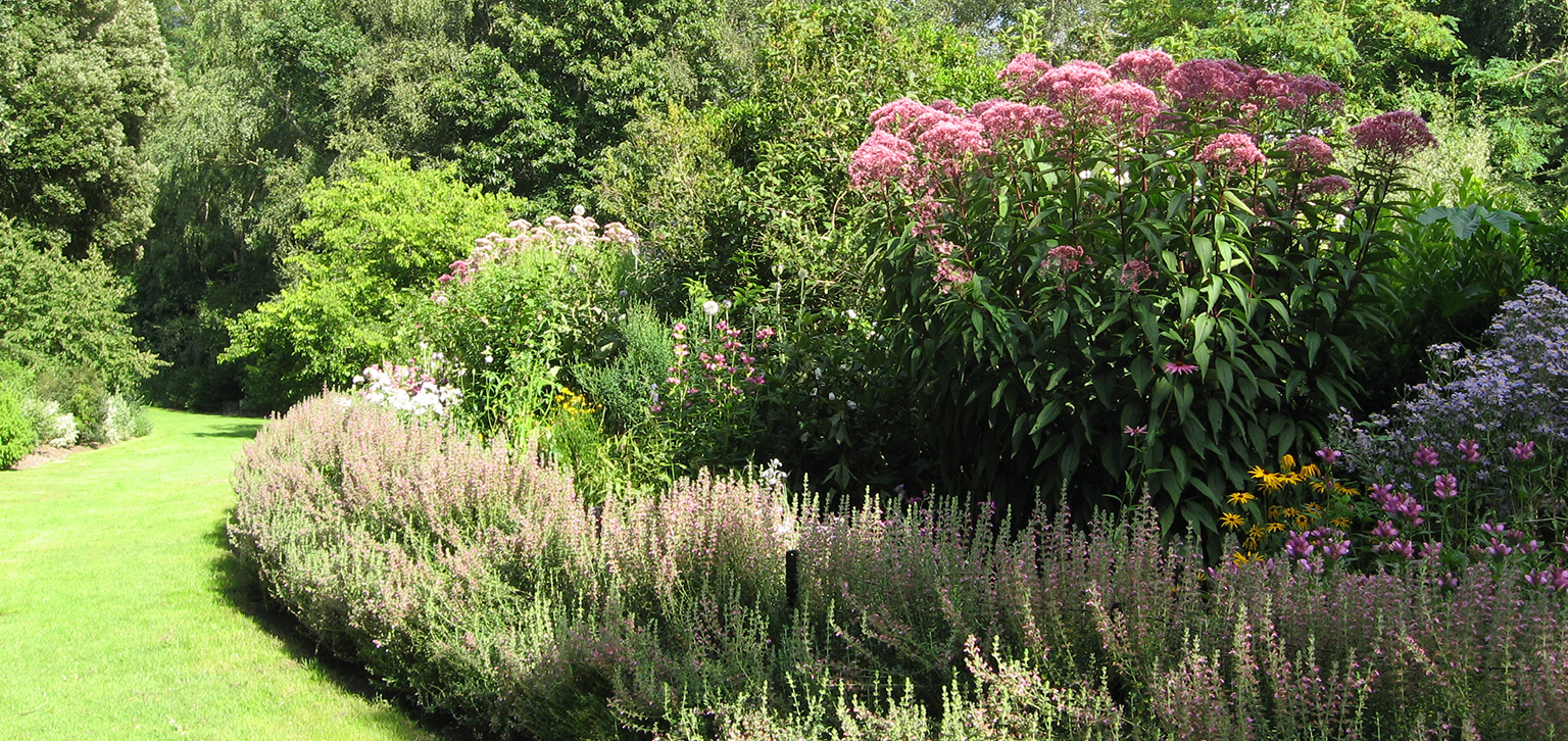 Flower bed view