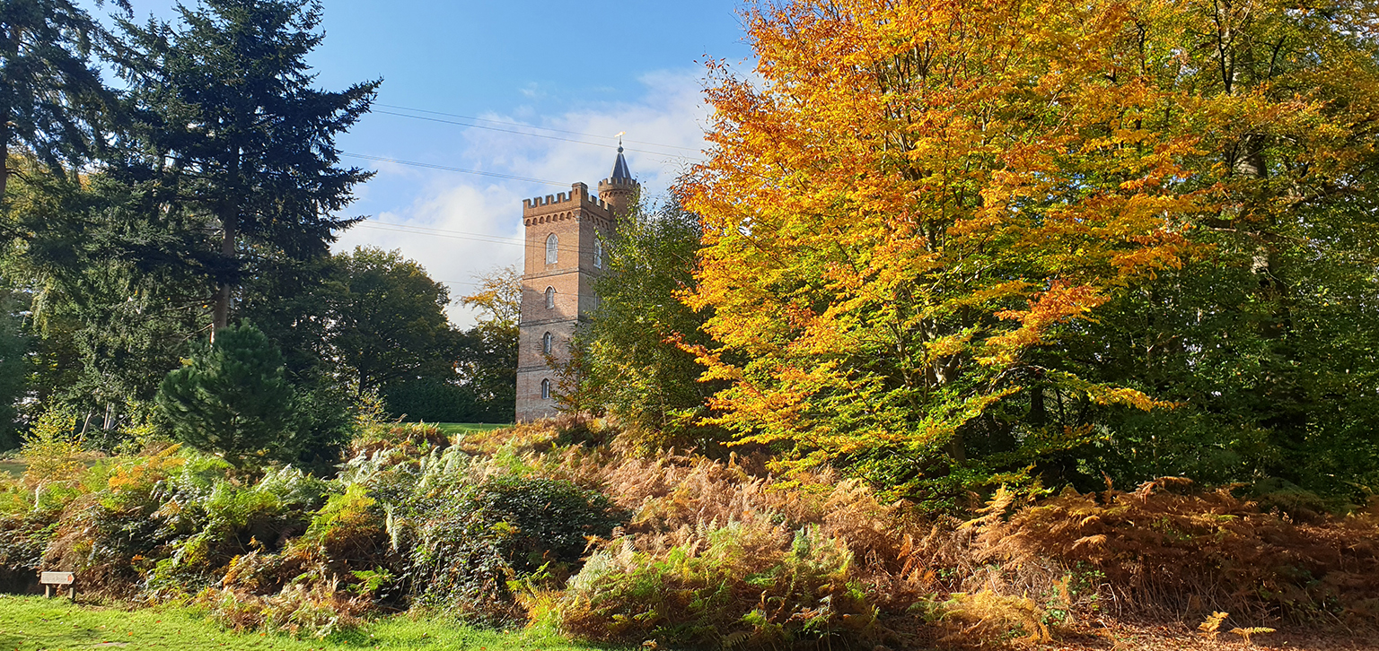 Gothic Tower in Autumn