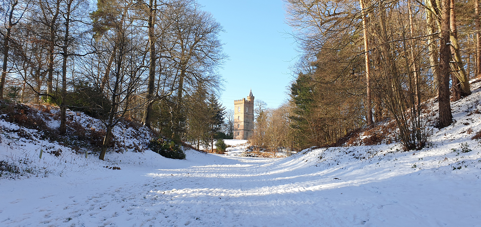 Gothic Tower in winter