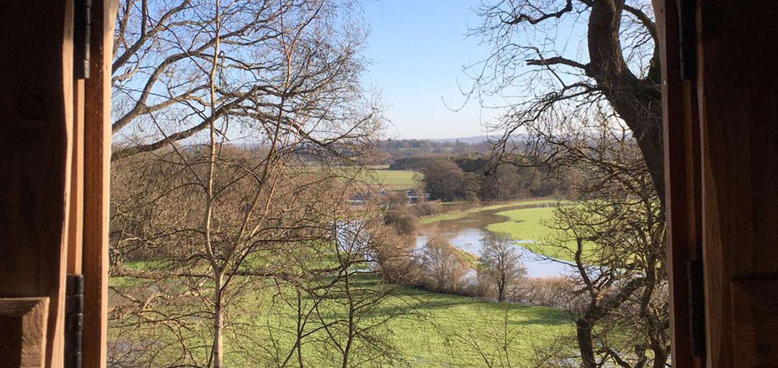 View from the Hermitage