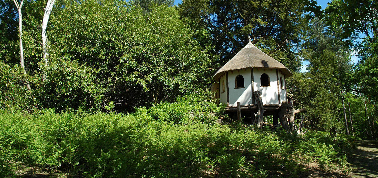 Hermitage view in summer