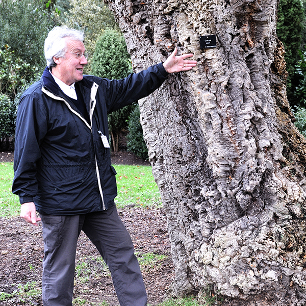 Group Visits - Introduction to Painshill