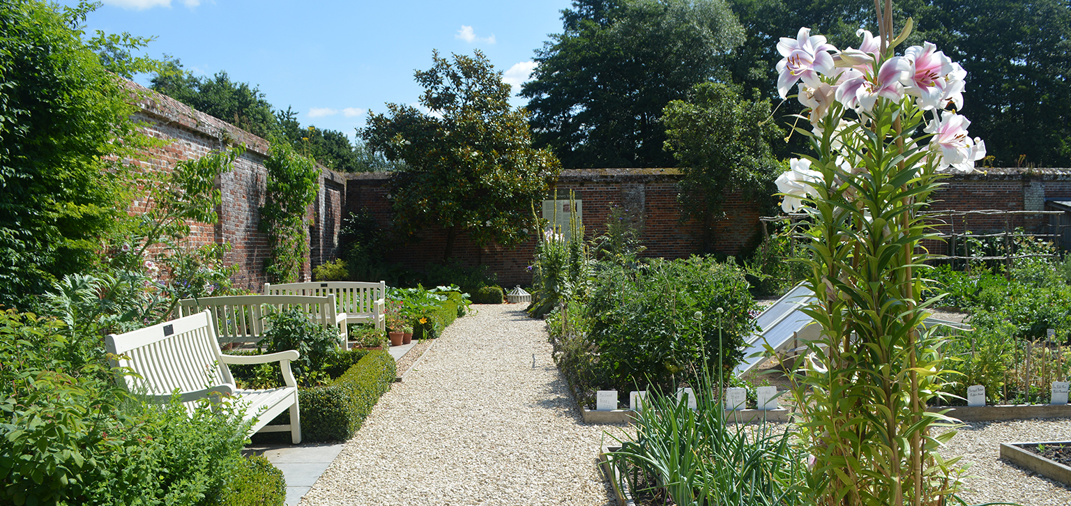 Kitchen Garden