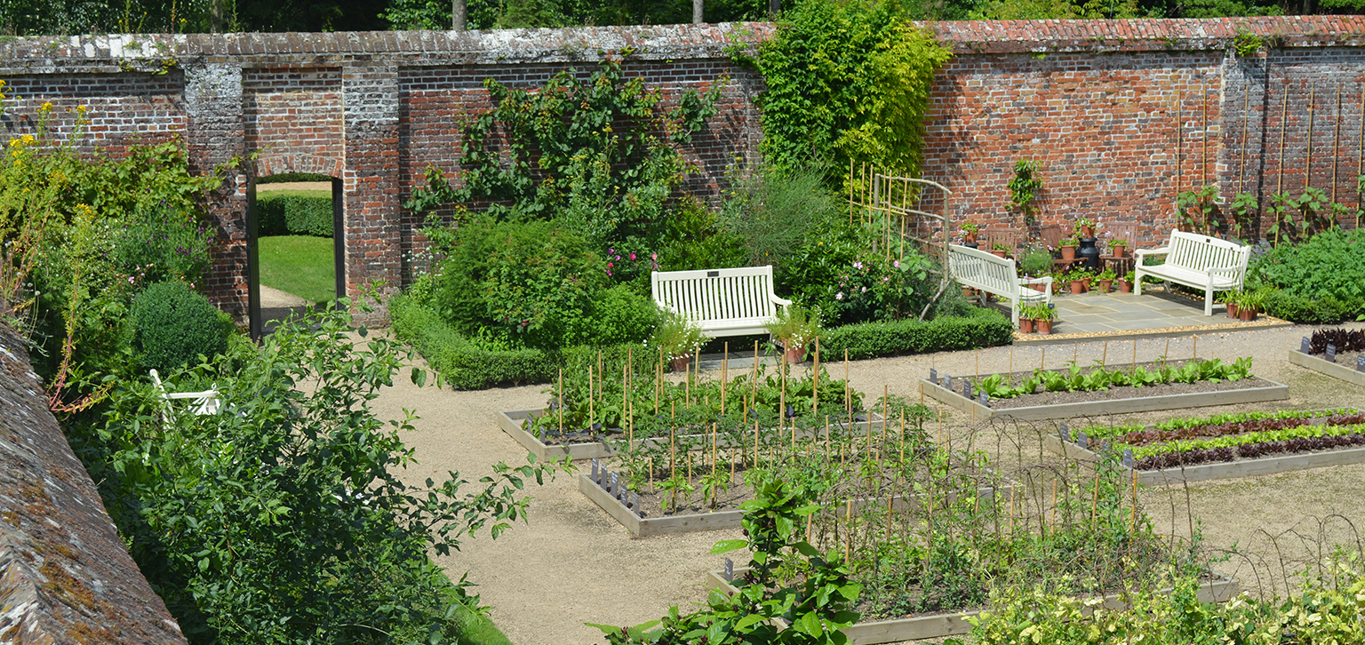 Kitchen Garden in Summer