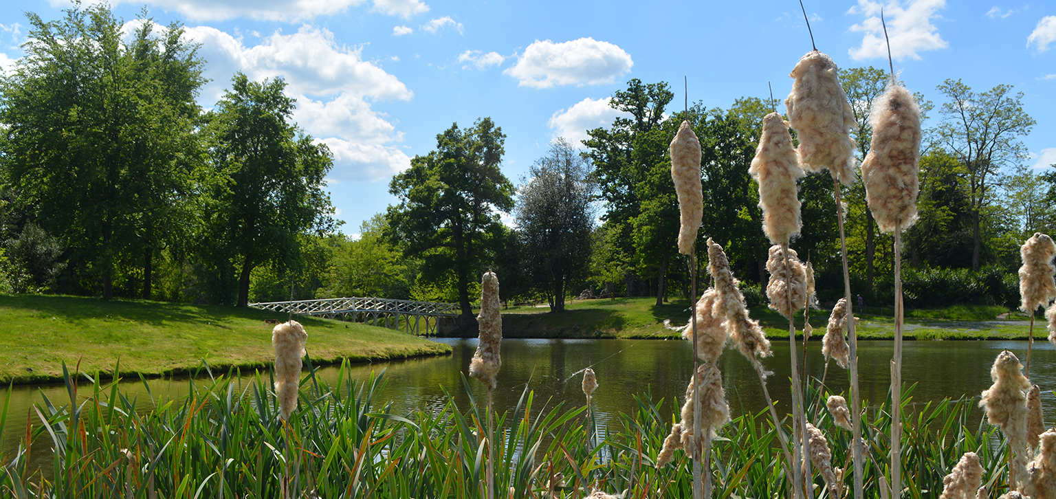 Lakeside spring