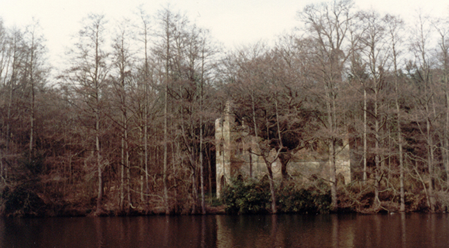 Painshill 1982 timeline