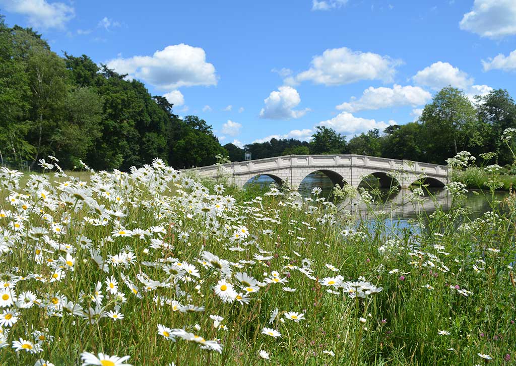 Photography at Painshill