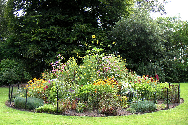 Painshill Plantings - after