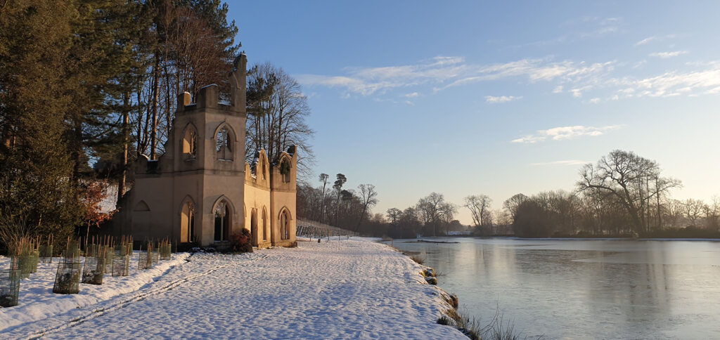 Ruined Abbey in winter