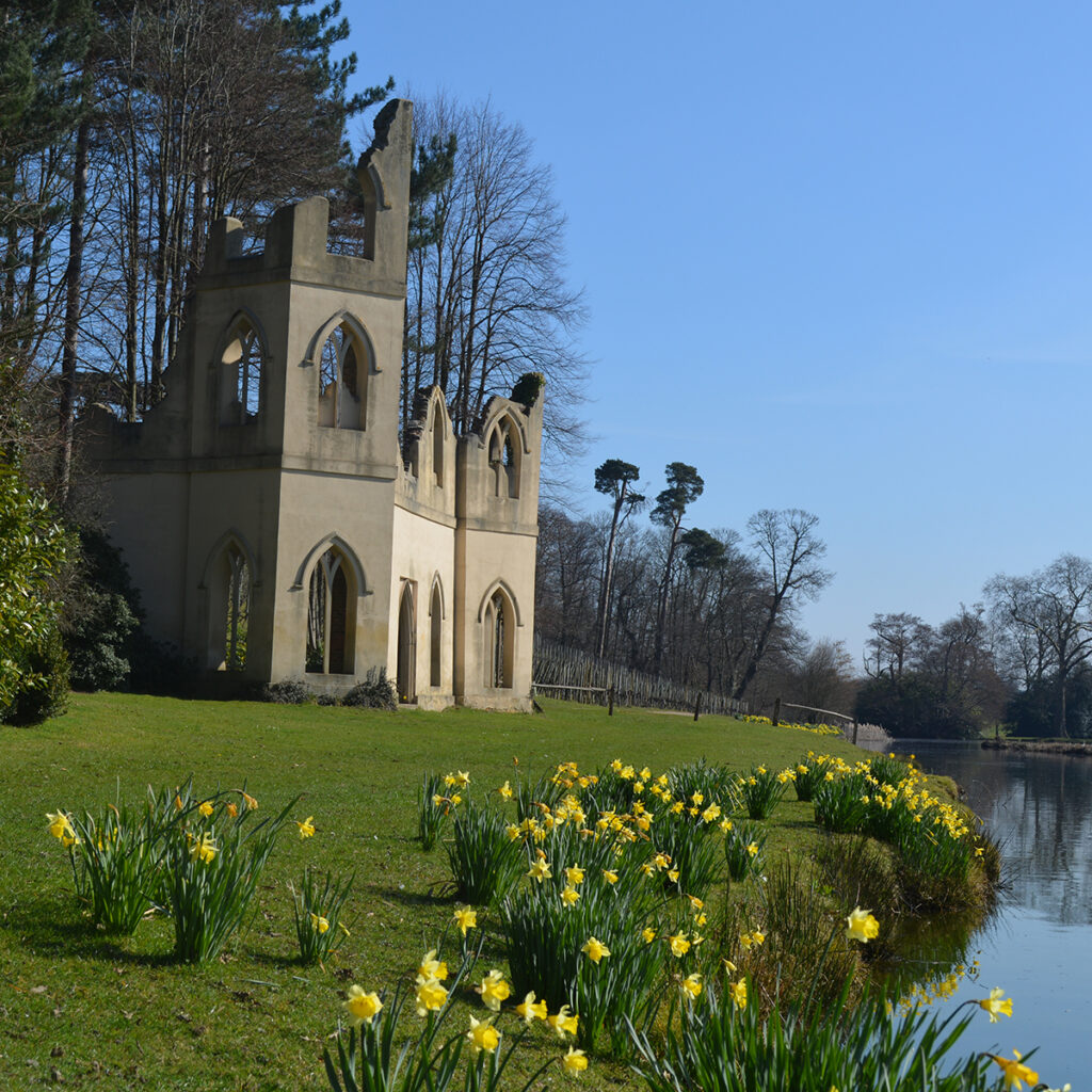 The Ruined Abbey