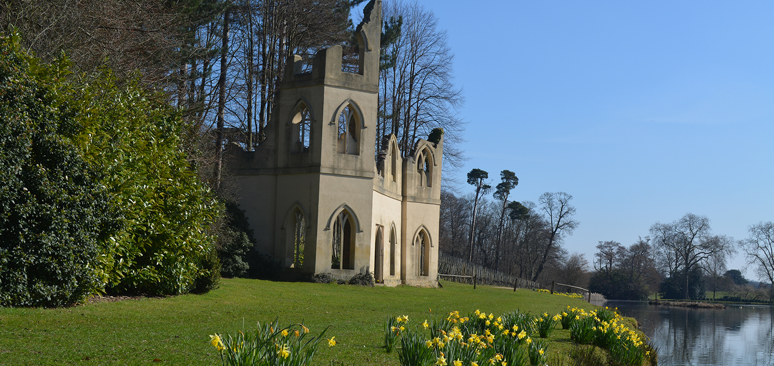 The Ruined Abbey