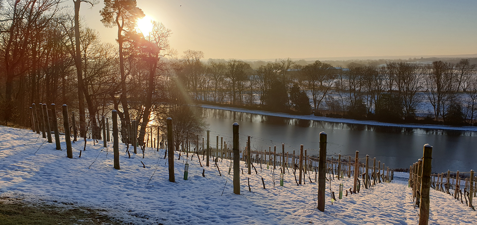 Sunset in winter