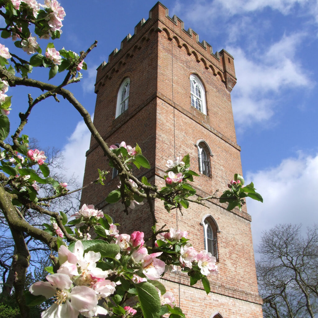 The Gothic Tower and Cafe