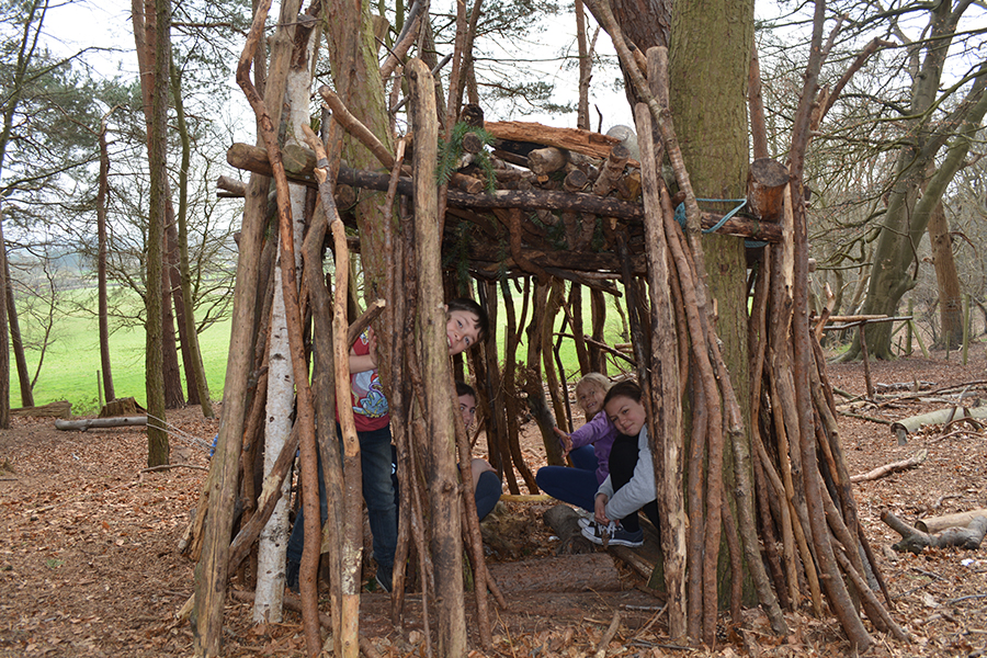 den building