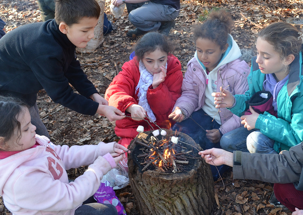 forest school