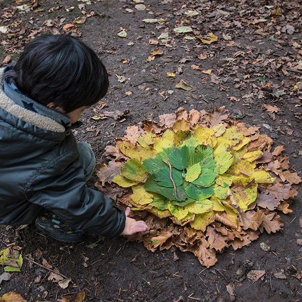 forest school