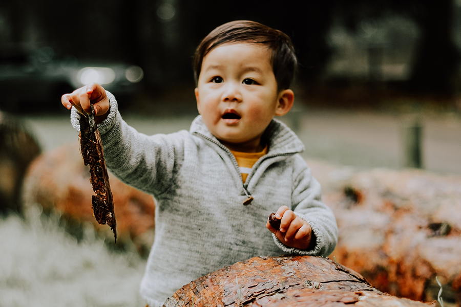 Photography at Painshill