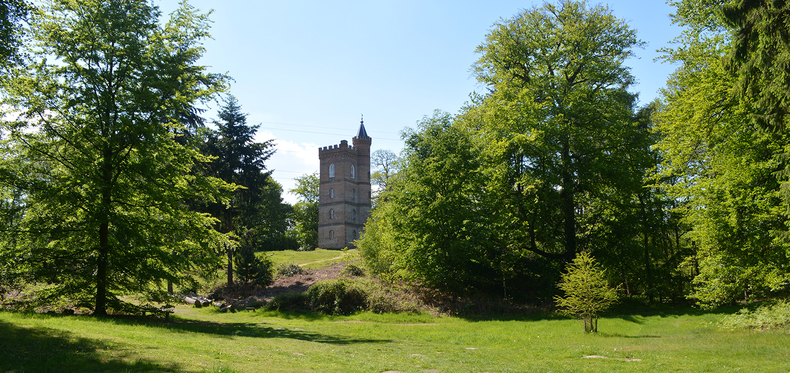 View of tower in summer