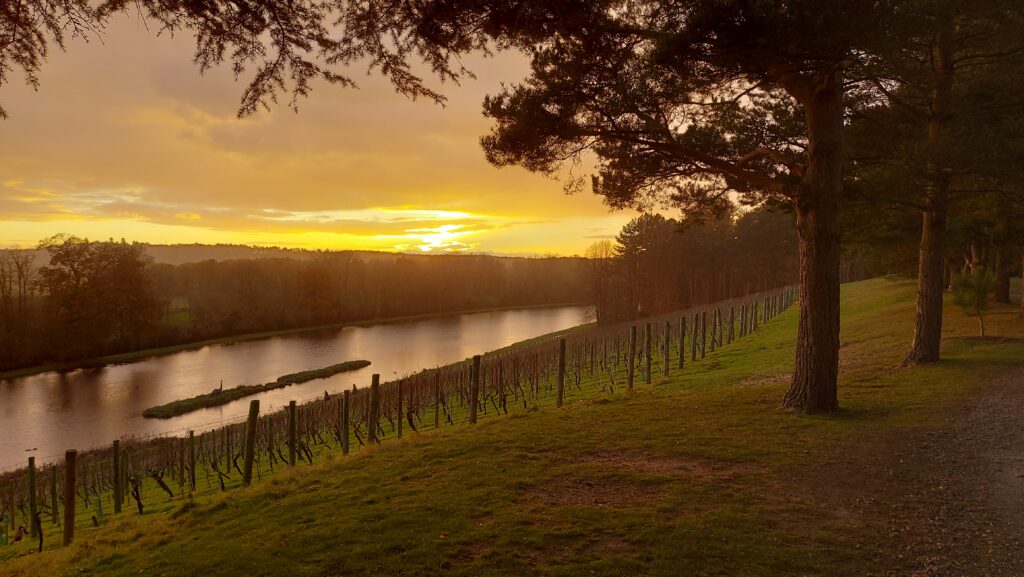 Sunset at Painshill 