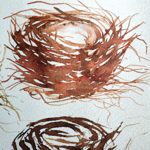 Eggs and nests painting workshop