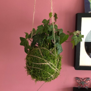 Kokedama Workshop