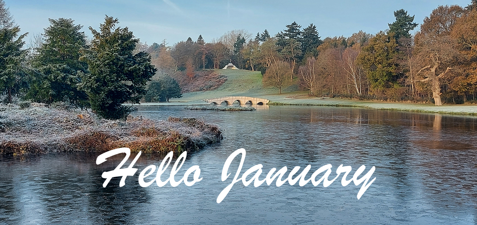 January things to do