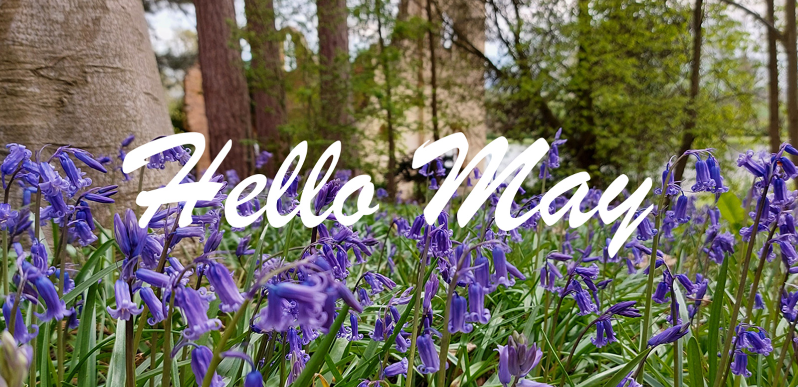 hello may at painshill