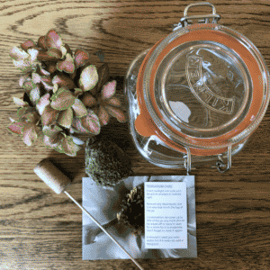 Terrarium Workshop