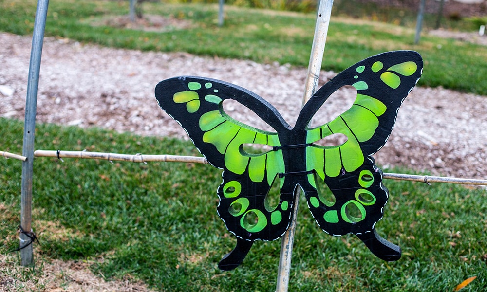 Bugs and Butterflies Trail at Painshill 
