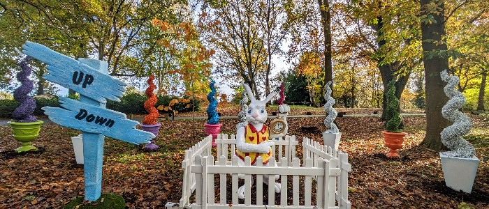 White Rabbit