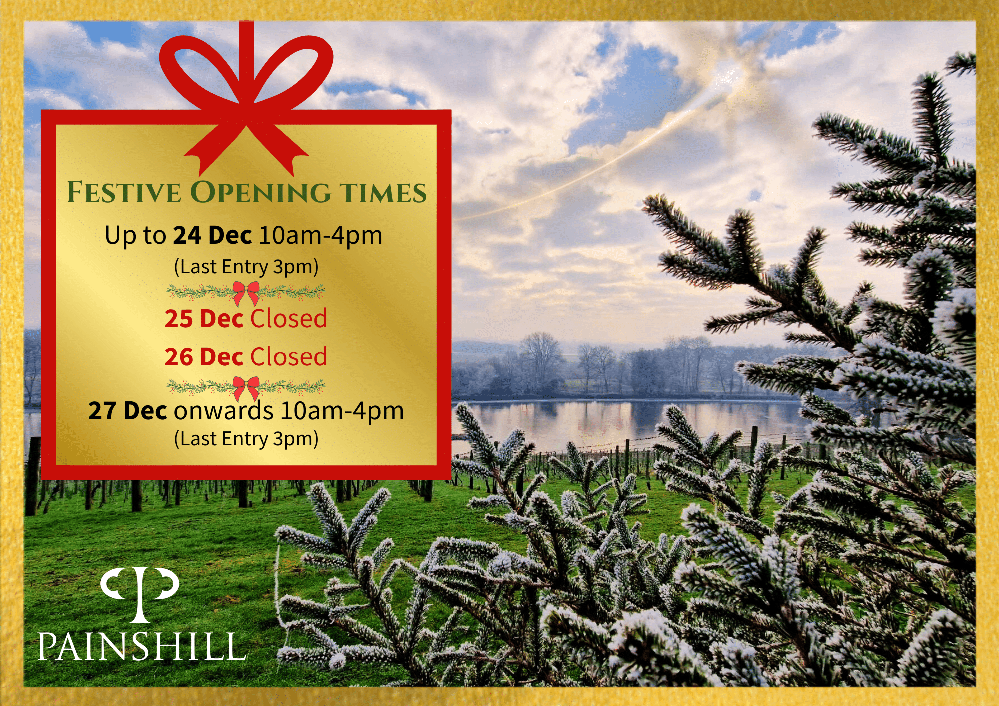 Christmas 2024 at Painshill