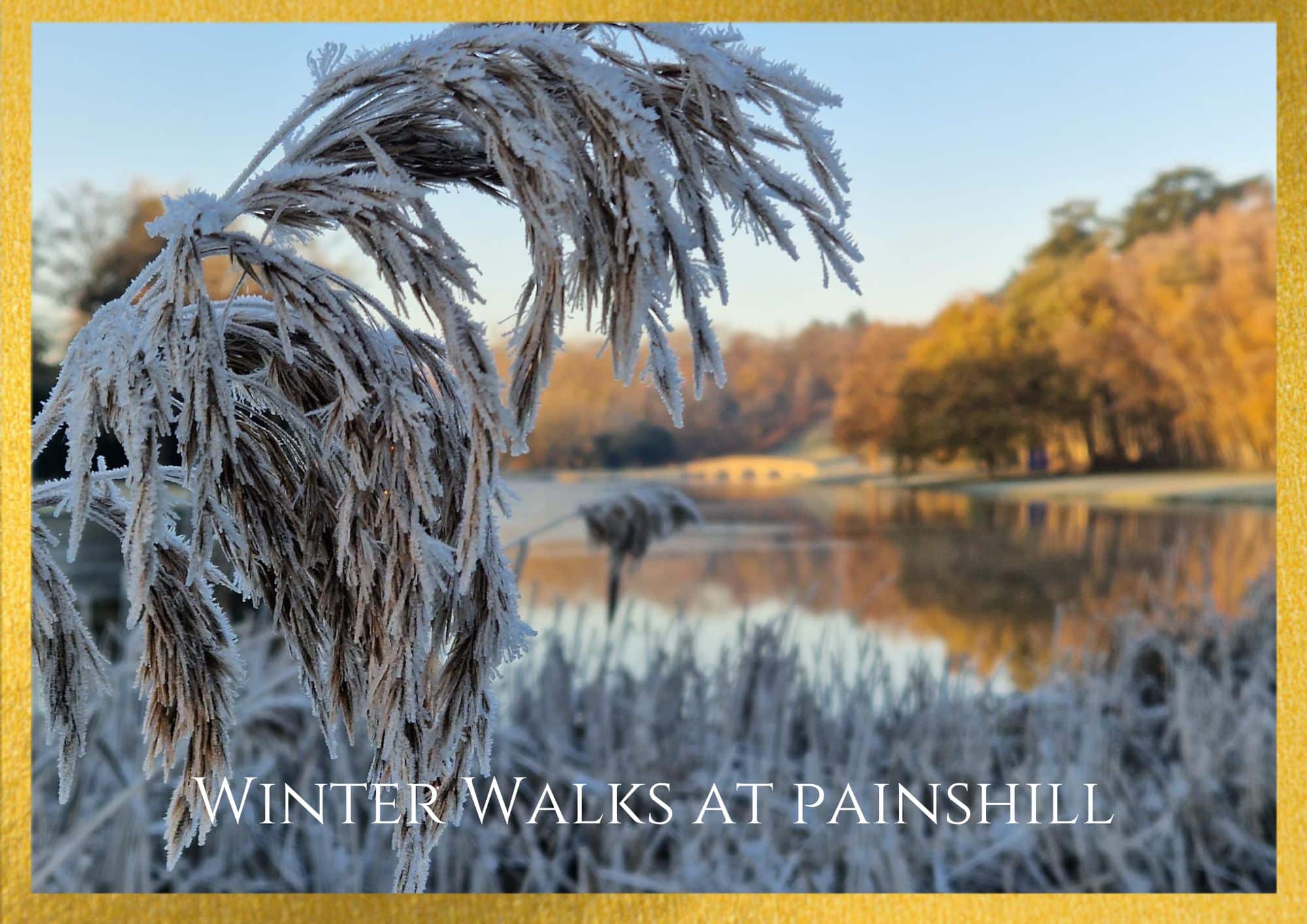 Winter Walks at Painshill