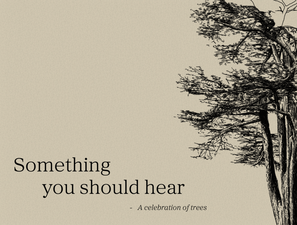 Something you should hear