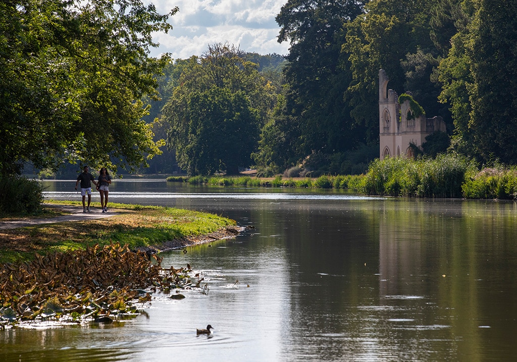 Summer at Painshill