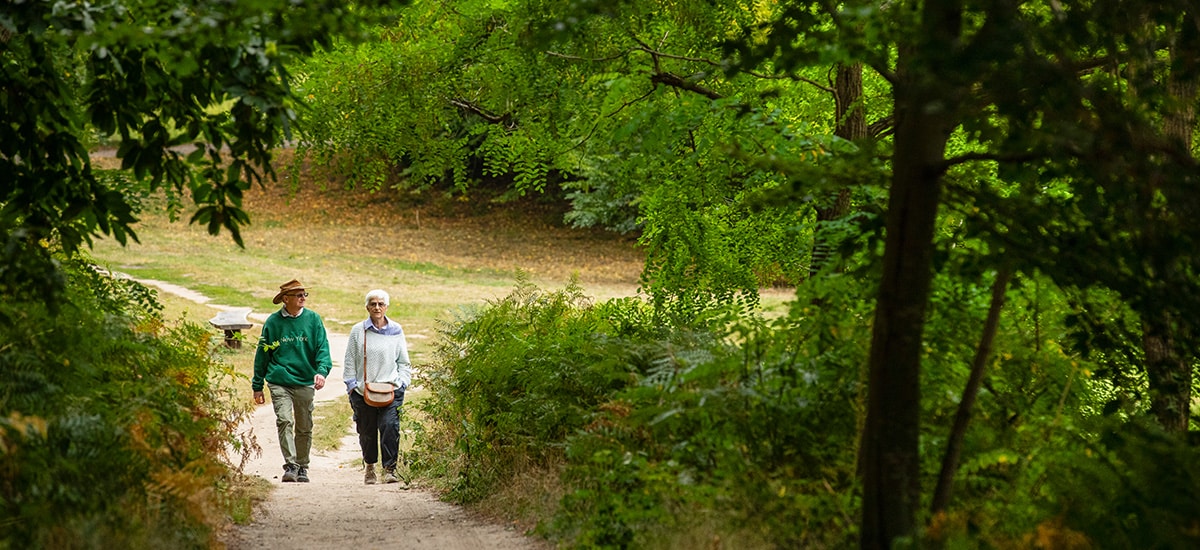 painshill walkers